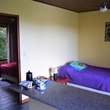 Arenal Villas Tranquilas, Free-Standing Equipped Houses ヌエボ・アレナル エクステリア 写真
