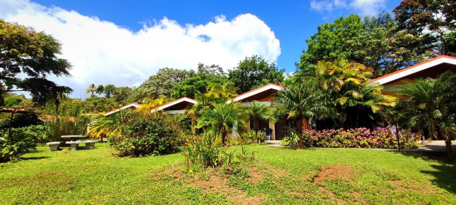 Arenal Villas Tranquilas, Free-Standing Equipped Houses ヌエボ・アレナル エクステリア 写真