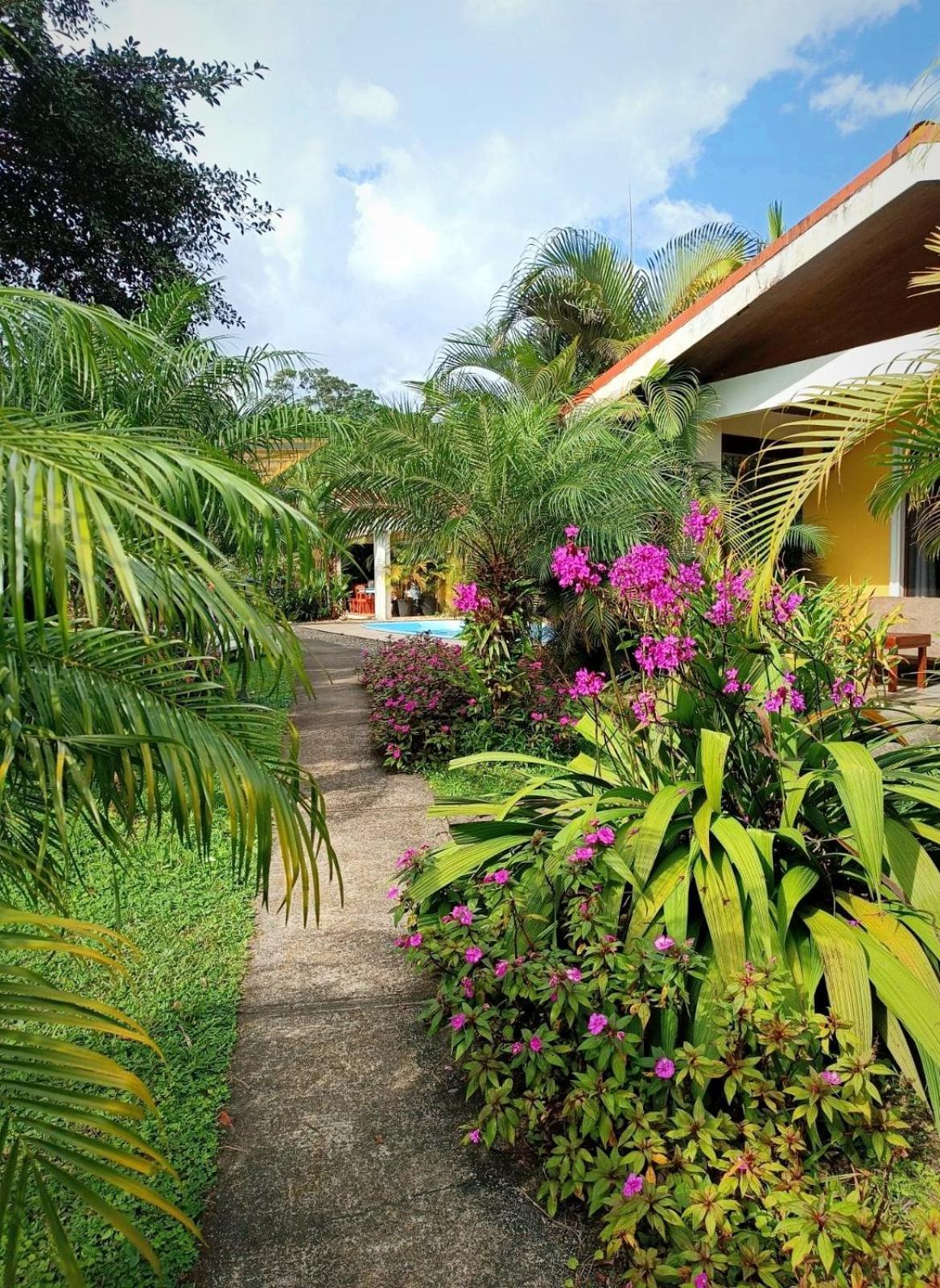 Arenal Villas Tranquilas, Free-Standing Equipped Houses ヌエボ・アレナル エクステリア 写真