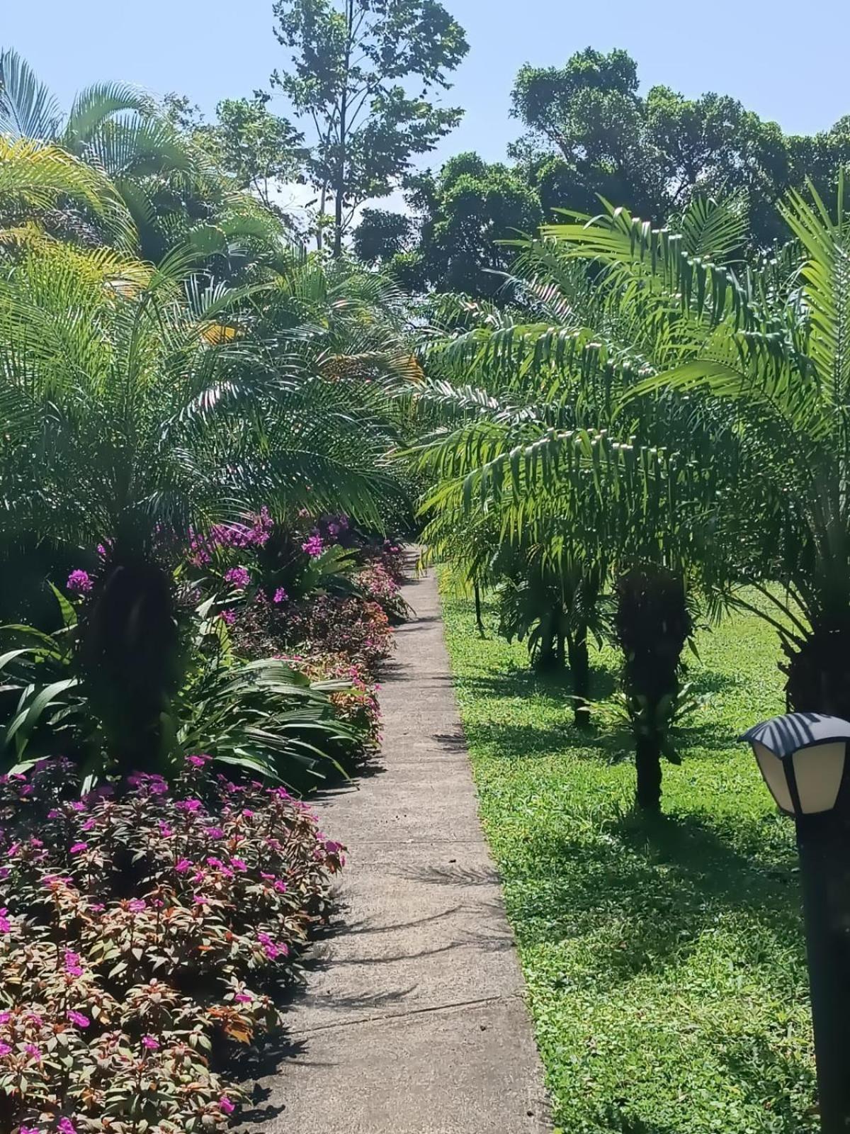 Arenal Villas Tranquilas, Free-Standing Equipped Houses ヌエボ・アレナル エクステリア 写真